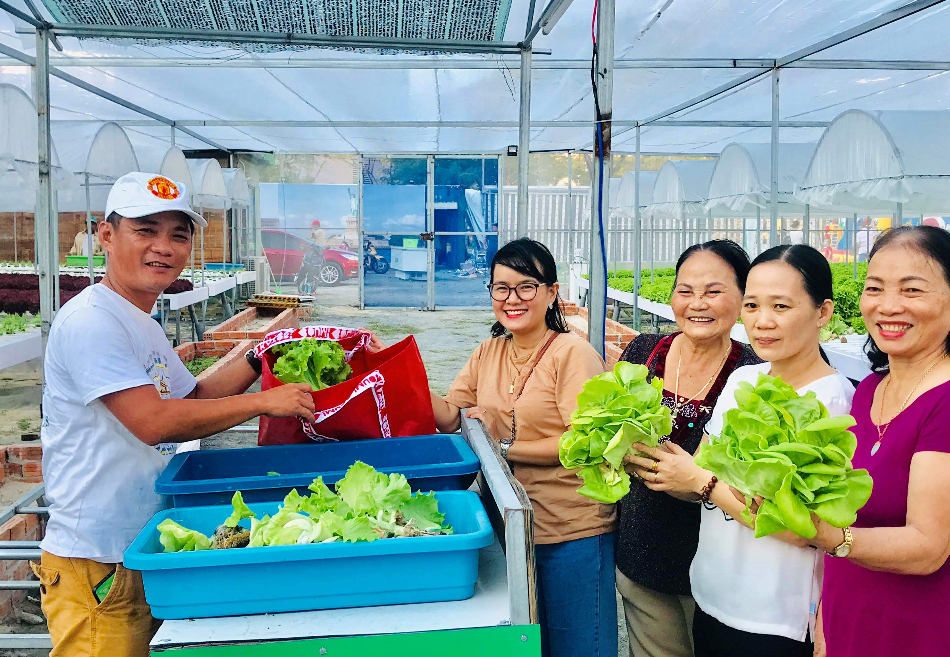 Làm giàu từ mô hình trồng rau thủy canh